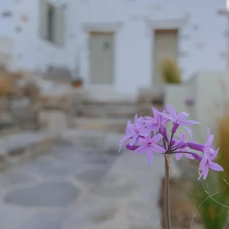 Aegean Breeze House Isterni (Paros)